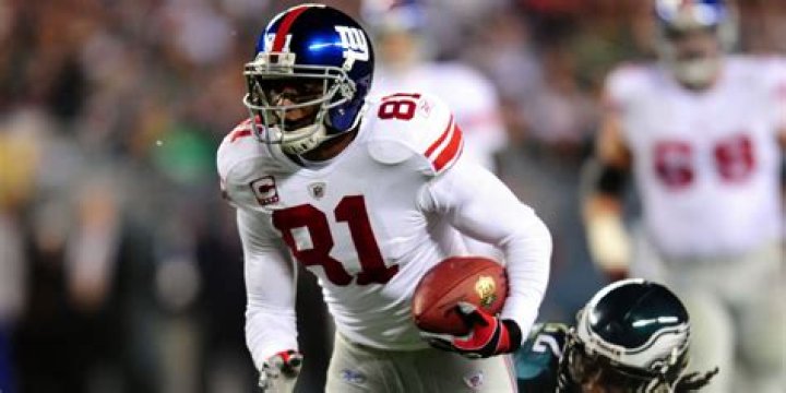 Amani Toomer Biography, Age, Height, Wife, Net Worth, Family