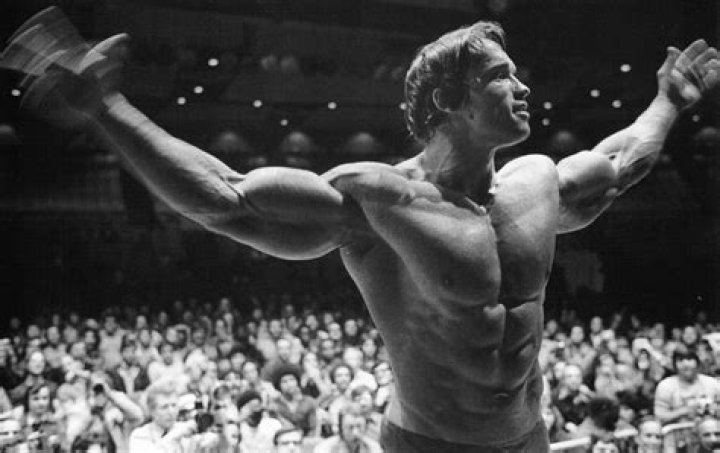 Arnold Schwarzenegger Biography, Age, Height, Wife, Net Worth, Family