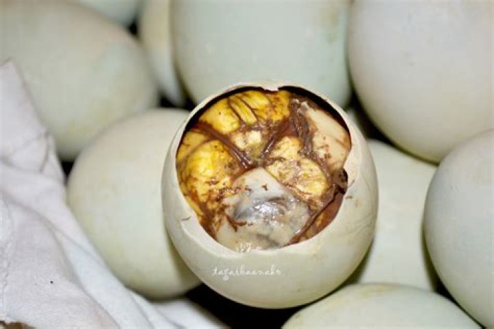 Balot Biography, Age, Height, Wife, Net Worth, Family