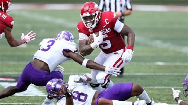 Chris Sanders biografía, edad, altura, esposo, net worth, familia