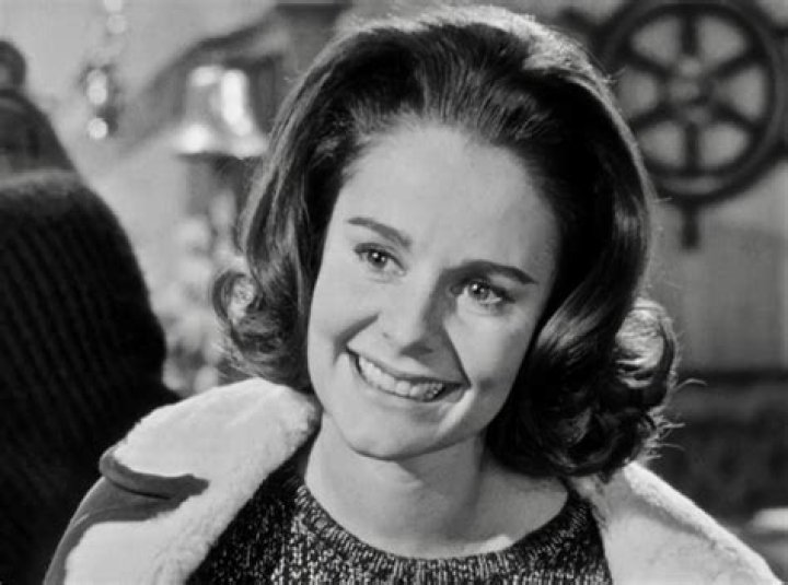 Christina Gregg Biography, Age, Height, Husband, Net Worth, Family