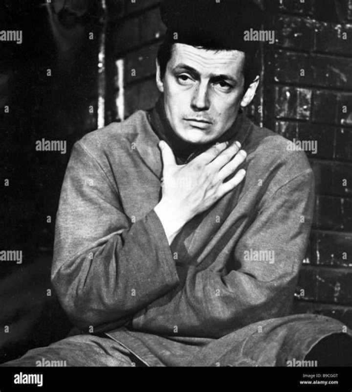 Dalvin Shcherbakov biografía, edad, altura, esposo, net worth, familia