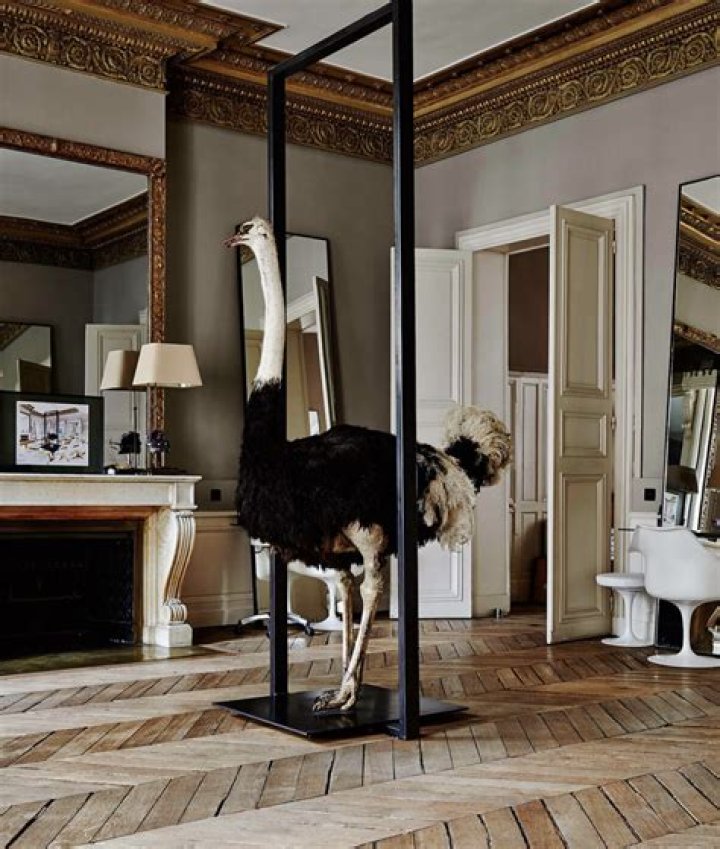 David Mallett Biography, Age, Height, Wife, Net Worth, Family