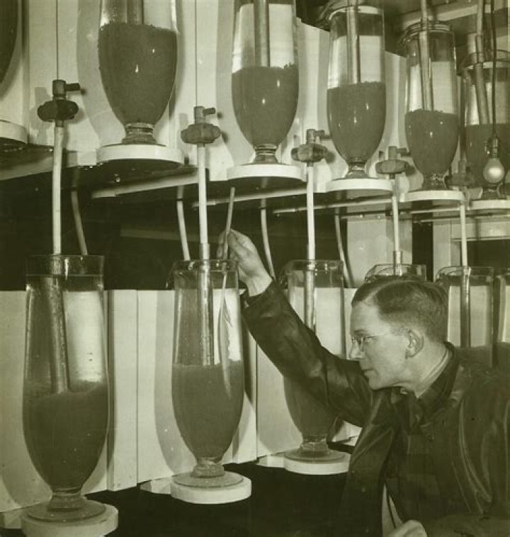 Earl Rose (composer) Biography, Age, Height, Wife, Net Worth and Family