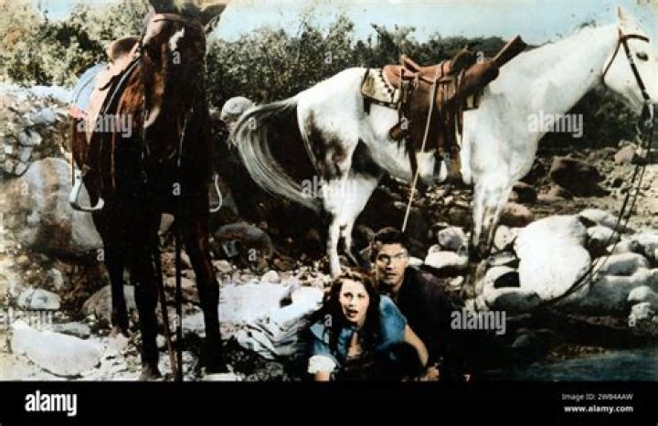 Kathleen Gallant biografía, edad, altura, esposa, net worth, familia