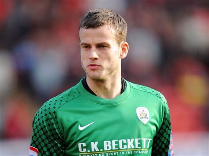 Luke Steele Biography, Age, Height, Wife, Net Worth, Family