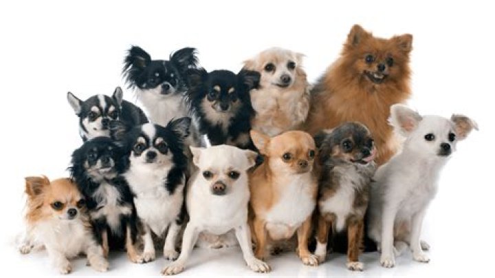 Psy Biography, Age, Height, Wife, Net Worth, Family