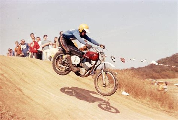 Roger De Coster Biography, Age, Height, Wife, Net Worth and Family