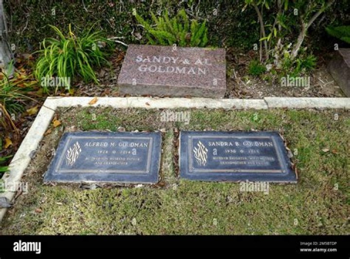 Sandy Balson Biography, Age, Height, Husband, Net Worth, Family