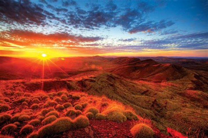 Tom Price Biography, Age, Height, Wife, Net Worth, Family